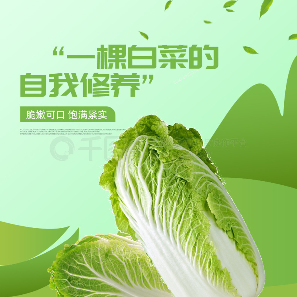 大白菜软件下载(大白菜软件下载与安装)