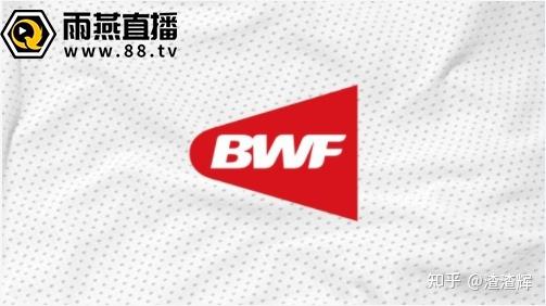 雨燕直播体育app下载