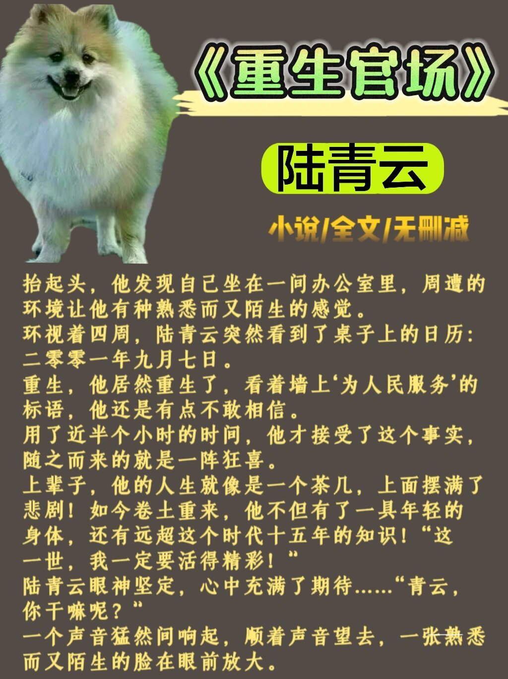 免费阅读官场小说(免费阅读官场小说较量全文)