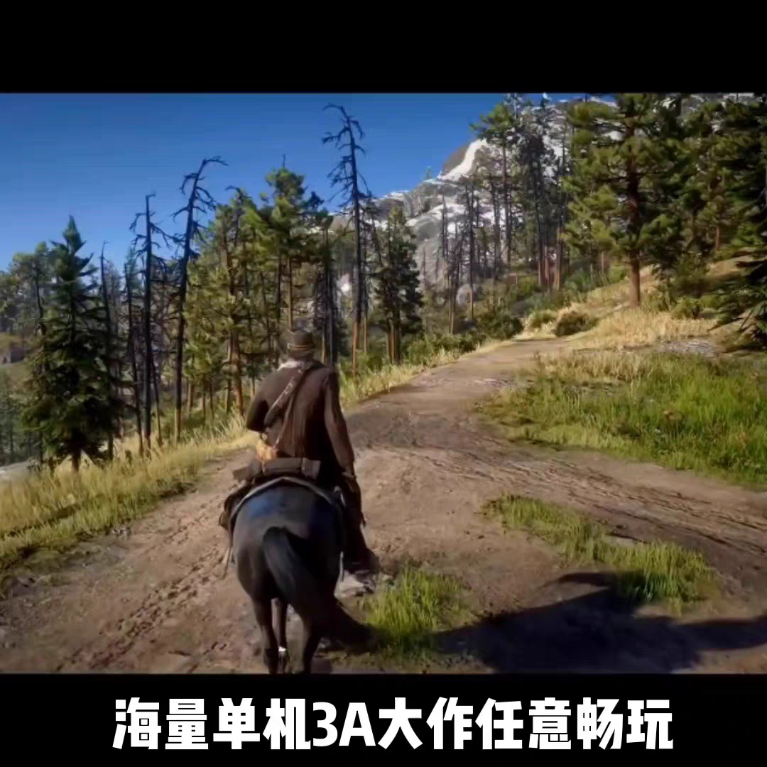 大型单机游戏下载