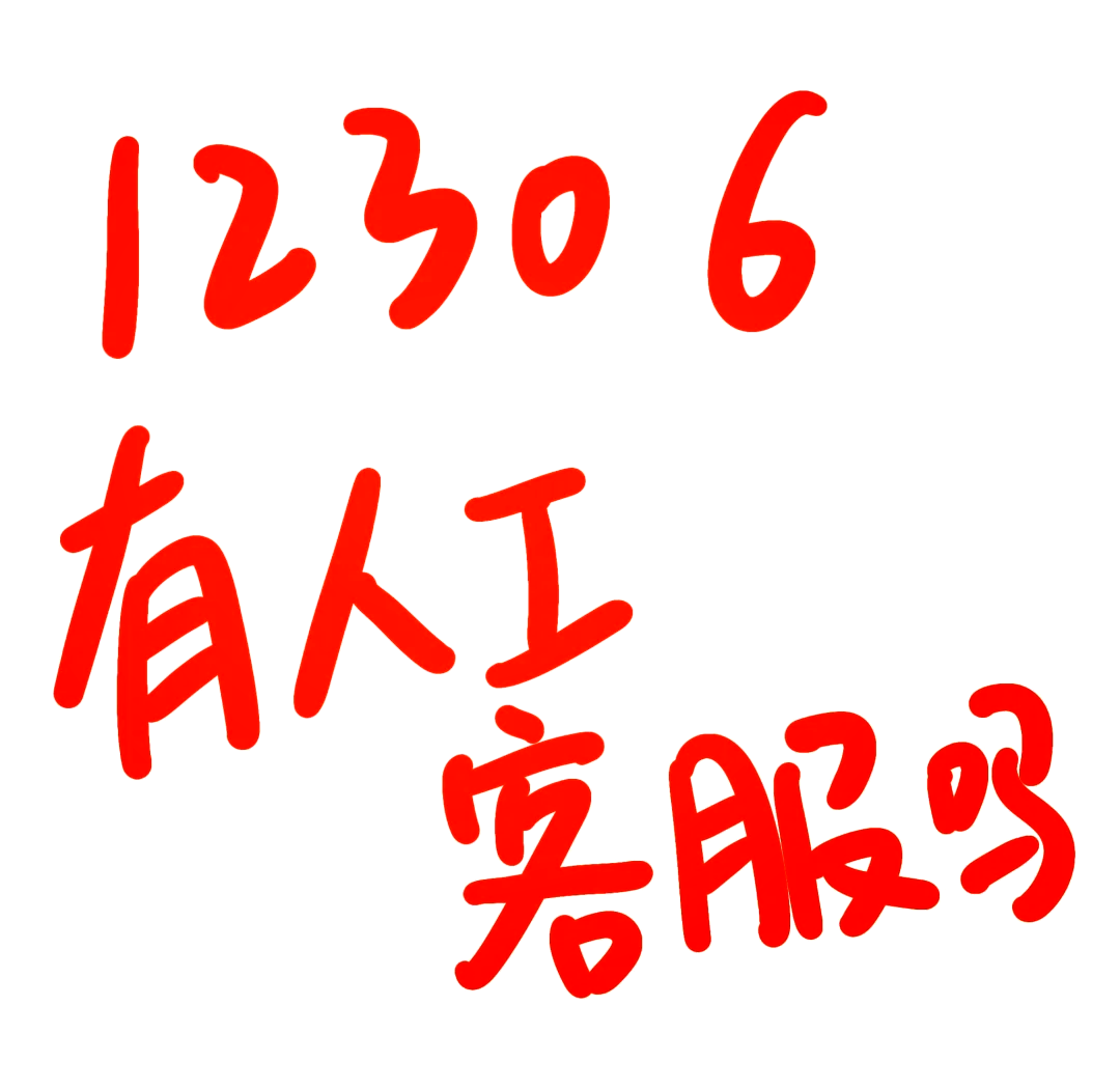12306app官方下载-(12306app官方下载安装)