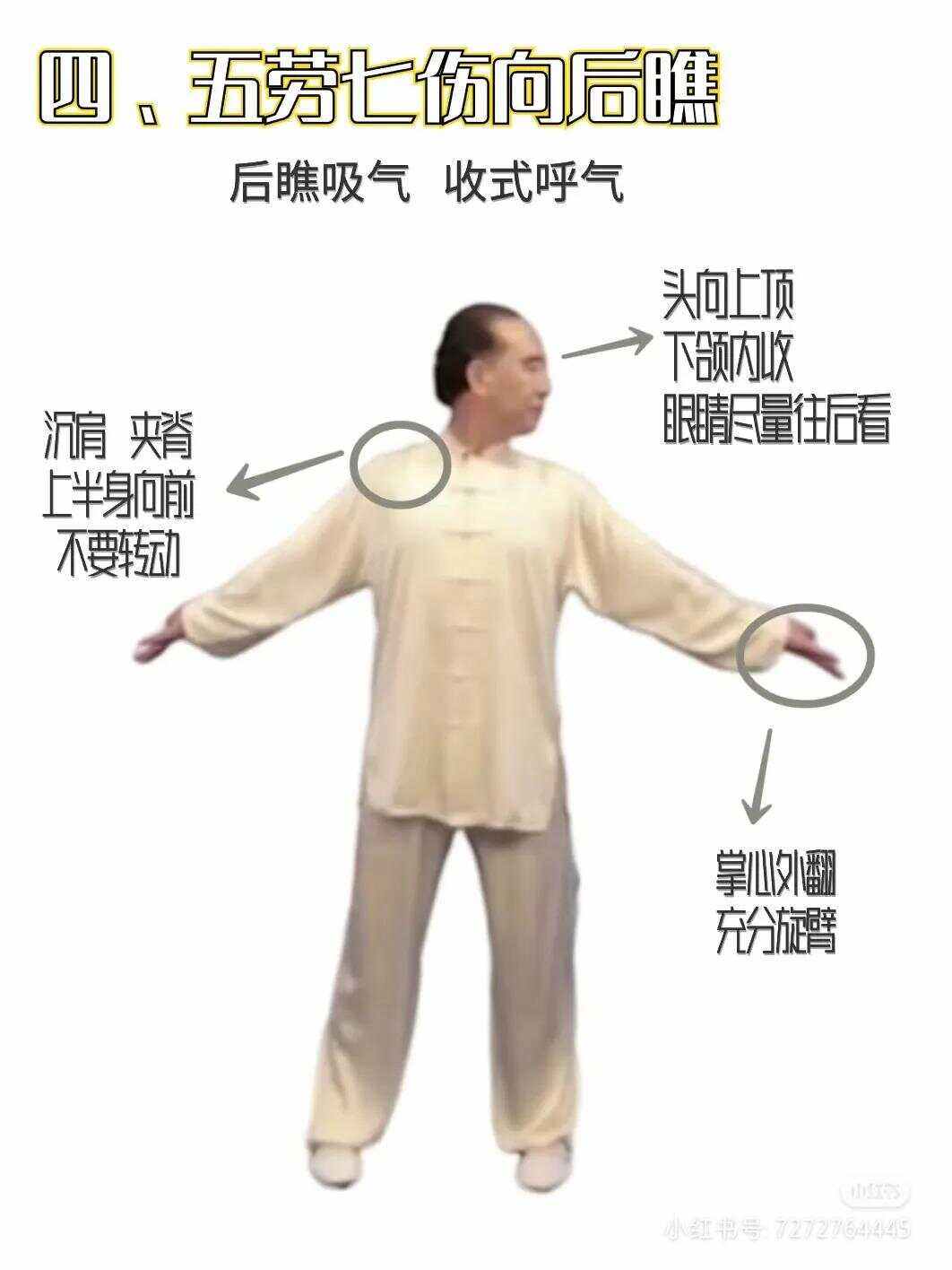 八段锦高清视频下载(八段锦视频mp4免费下载)