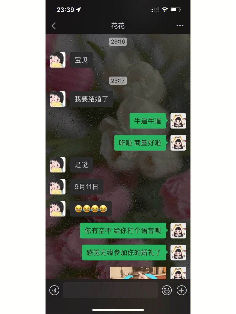 将婚就婚全文免费阅读(将婚就婚全文免费阅读无弹窗)