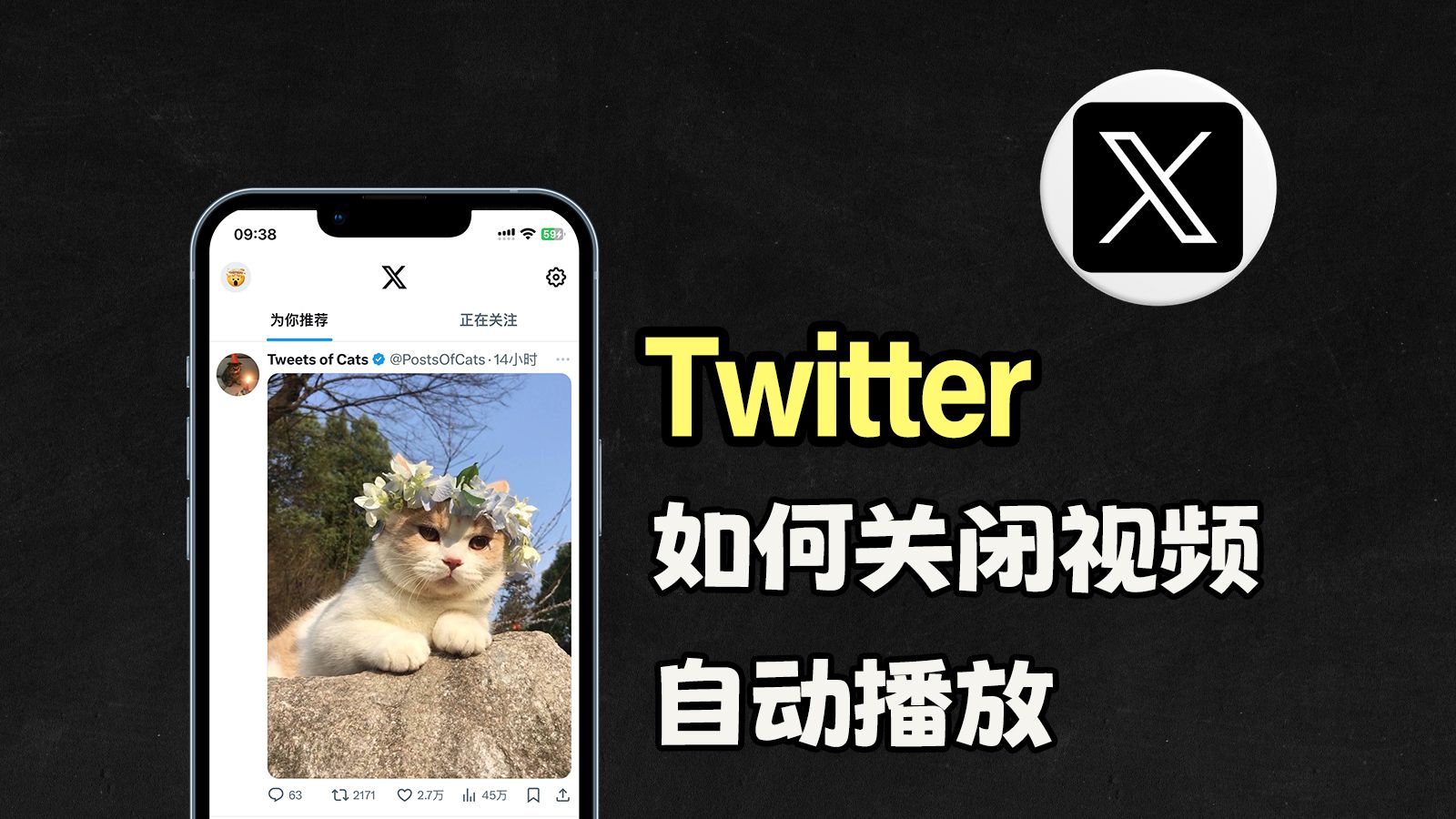 怎么下载twitter视频(如何下载twitter视频到手机)