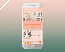 猫咪app下载地址-(猫咪app下载网站)