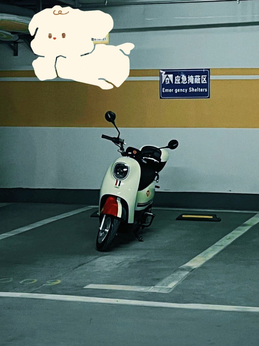 电驴破解版下载