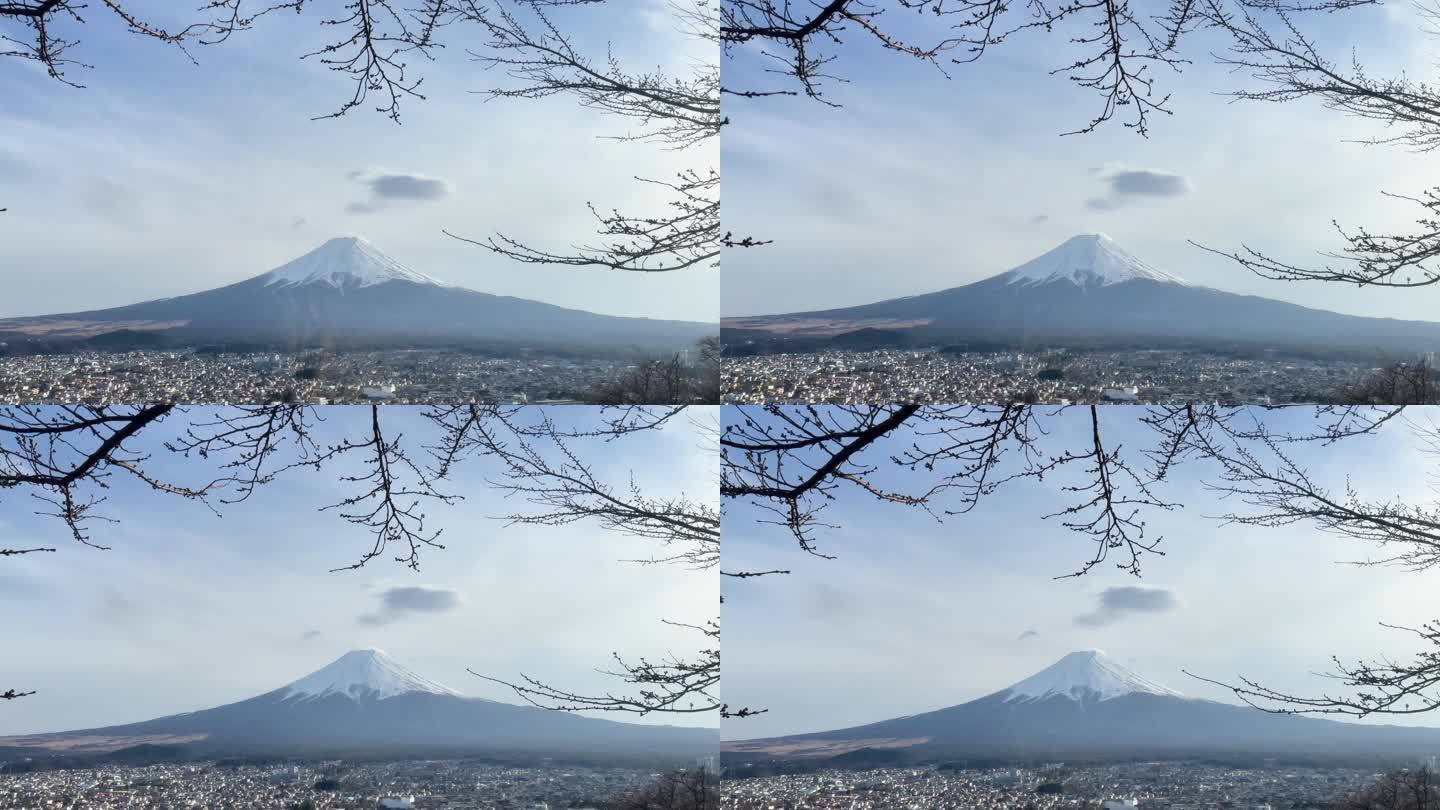 富士山下载地址_(富士山新版app官网)