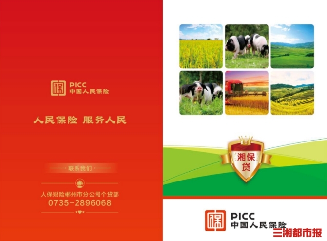 中国人保app下载
