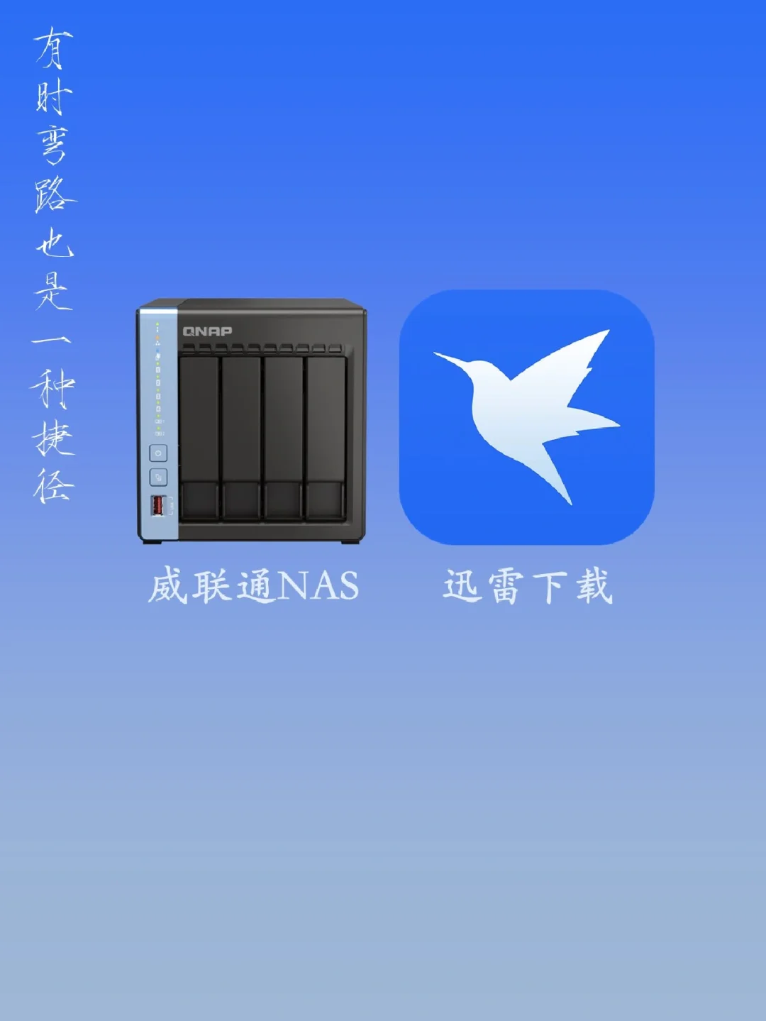 迅雷app下载(迅雷app官方下载入口)