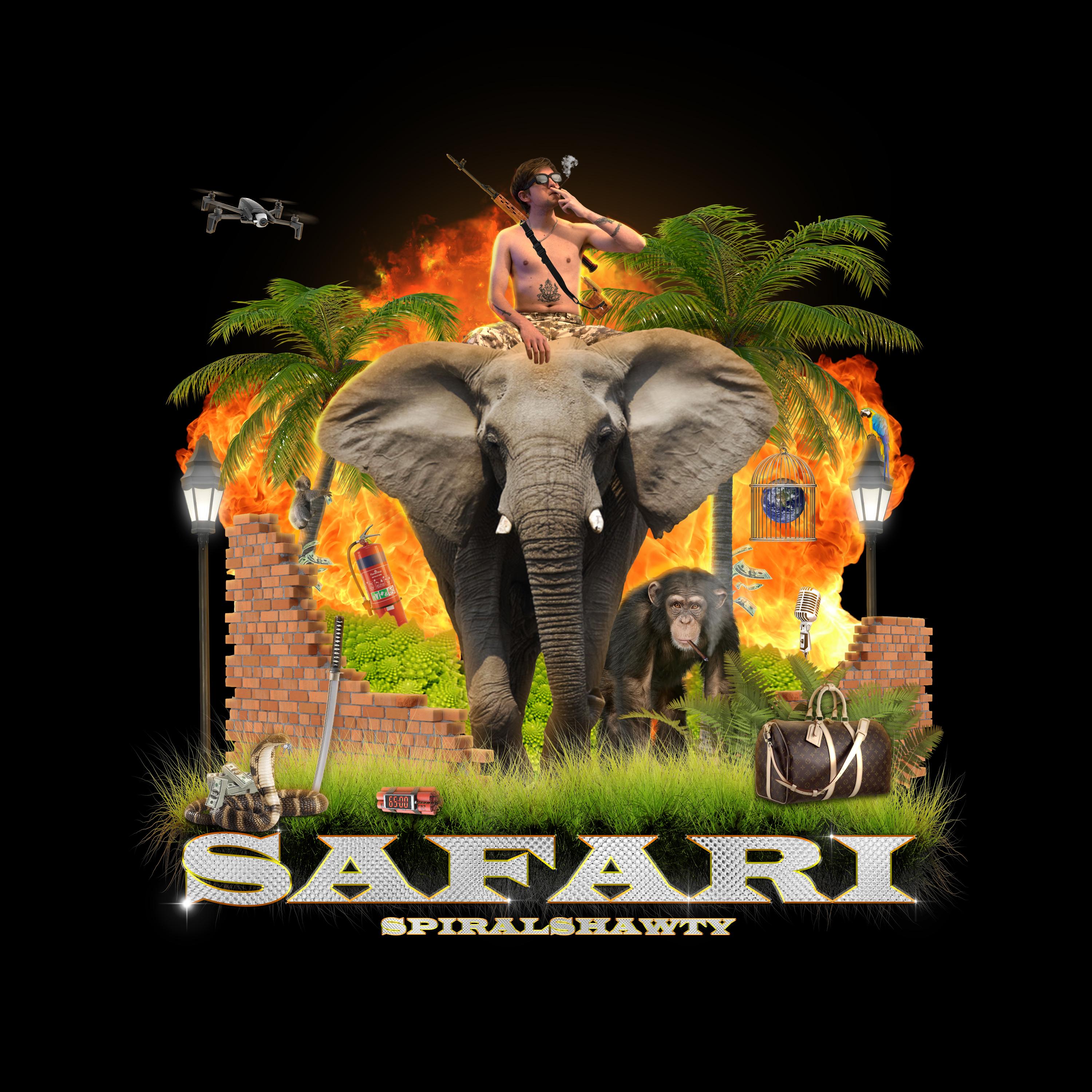 safari下载视频-(safari下载视频去哪了)