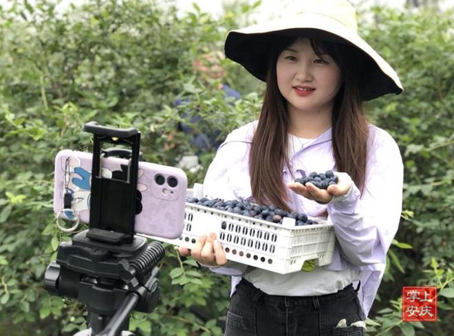 蓝莓视频app下载-(蓝莓视频app下载色)