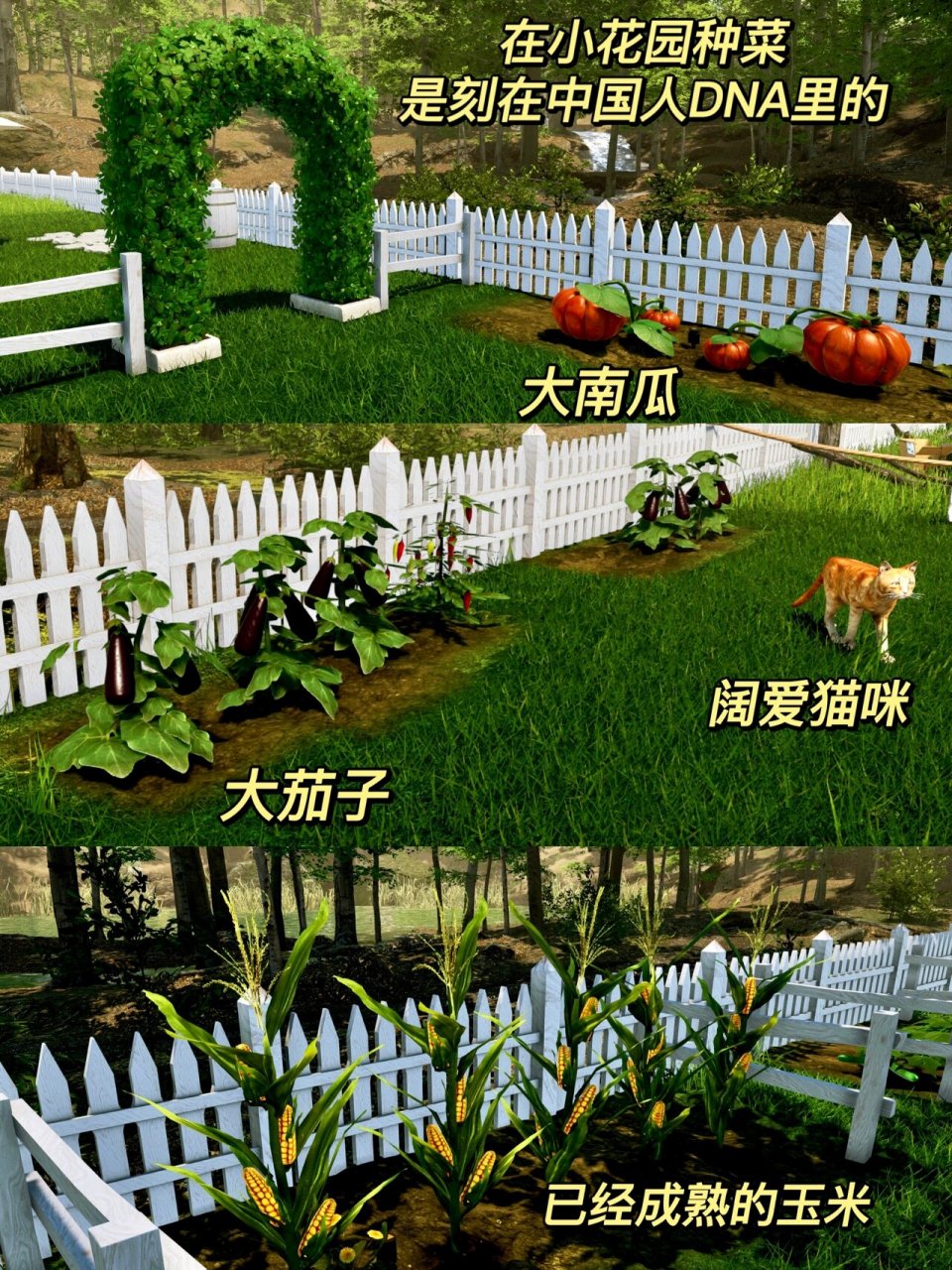 种菜游戏下载(种菜游戏单机免费)