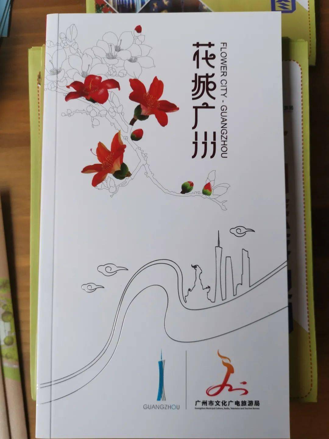 小蛮腰免费阅读