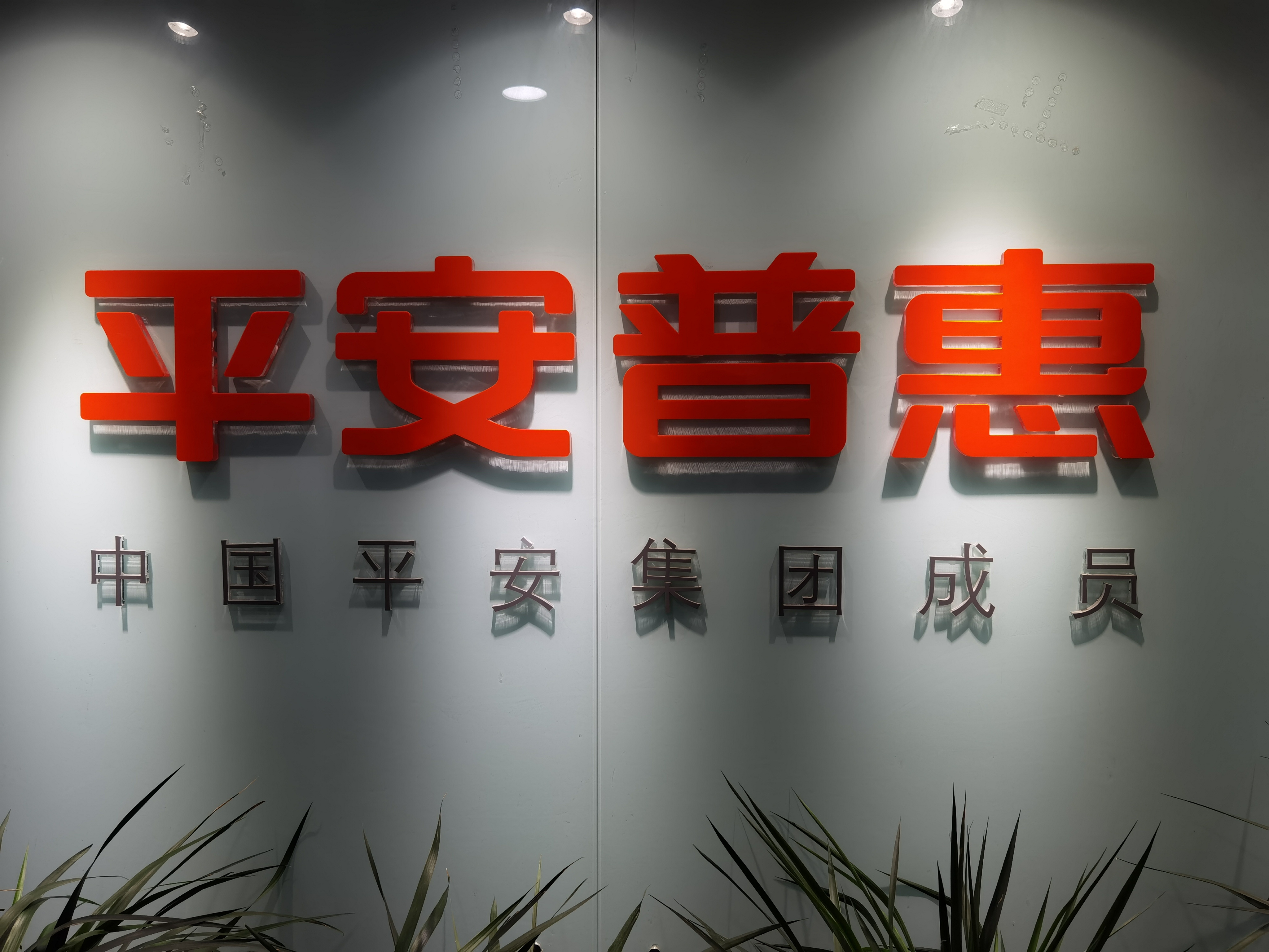 平安普惠app下载安装-(平安普惠app下载安装软件)
