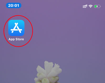 苹果怎么下载破解版(苹果怎么下载破解版疯狂动物园)