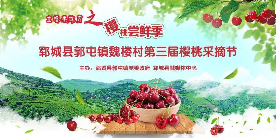 樱桃直播最新下载地址(樱桃直播最新下载地址大全)