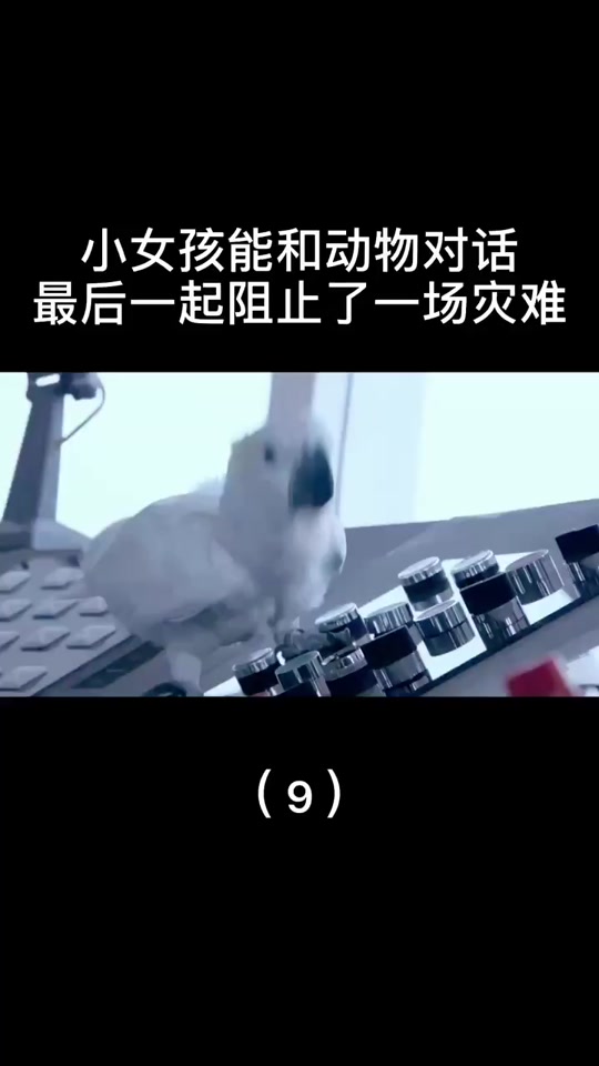 团团影院在线下载地址