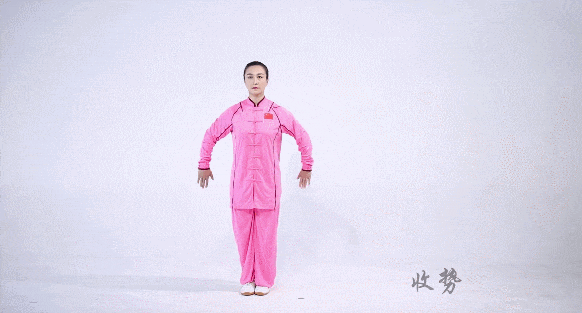 八段锦教学视频下载(怎样下载八段锦视频教程)