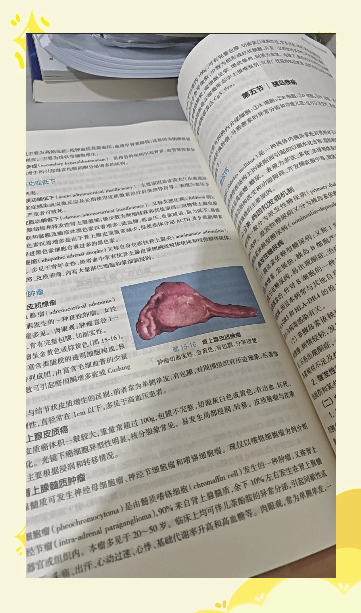 医学书籍免费阅读_(医学书籍免费阅读小说)