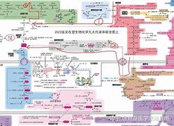 糖二代全文免费阅读_(糖二代小说书包网下载)