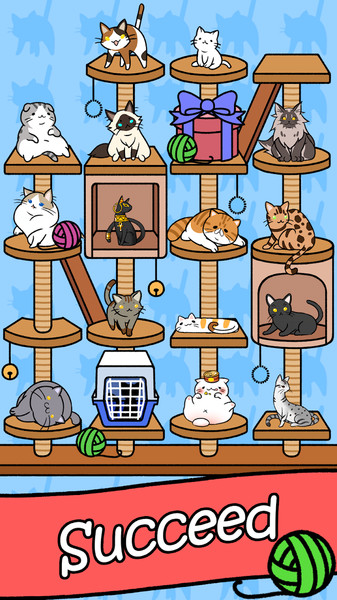猫咪下载地址(猫咪下载地址是什么?)