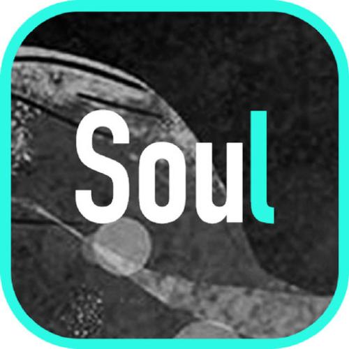 soul安卓版下载