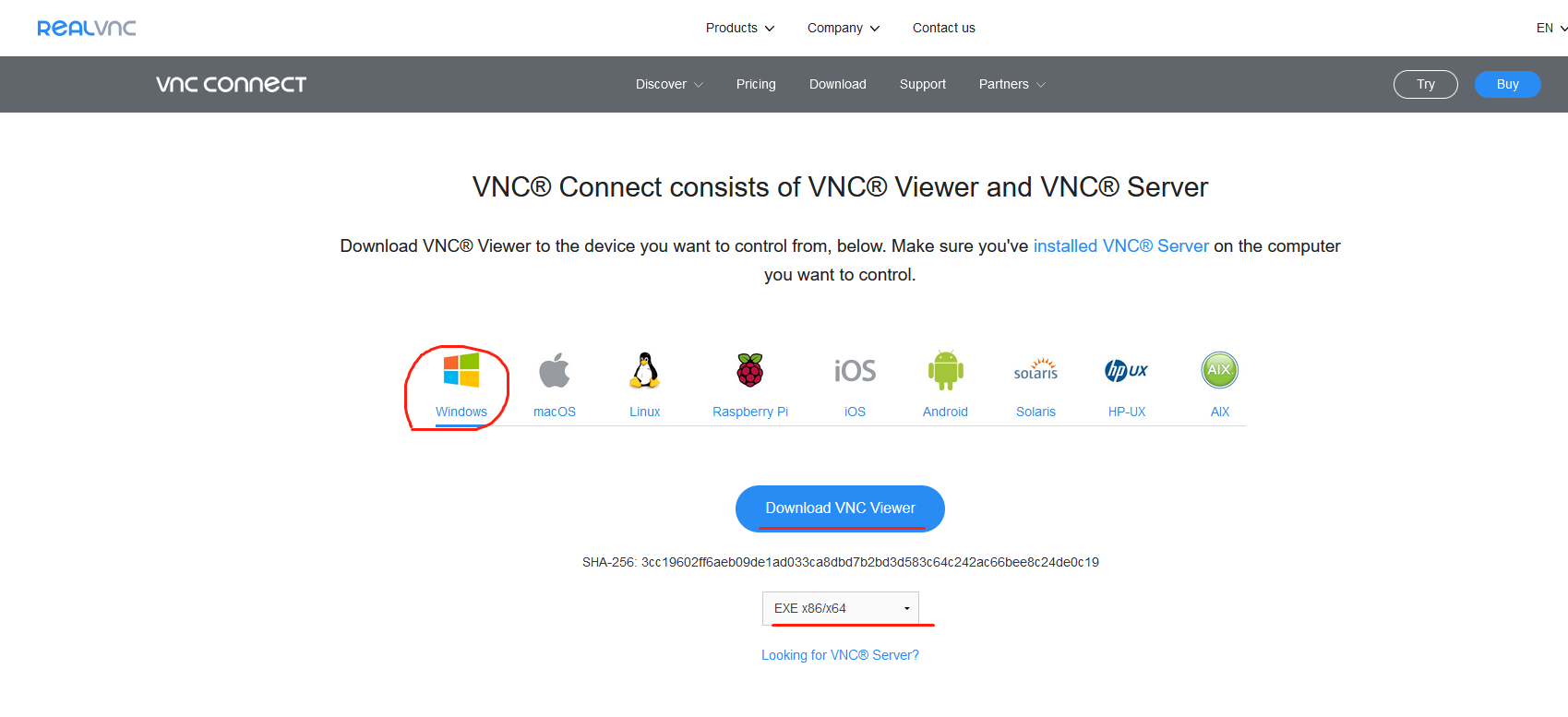vnc软件下载
