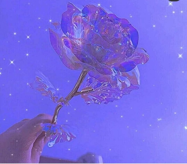 慕夏全文免费阅读-(哪部小说女主叫慕夏)