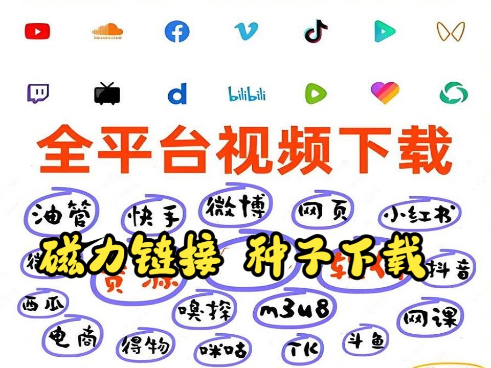 网站视频下载软件