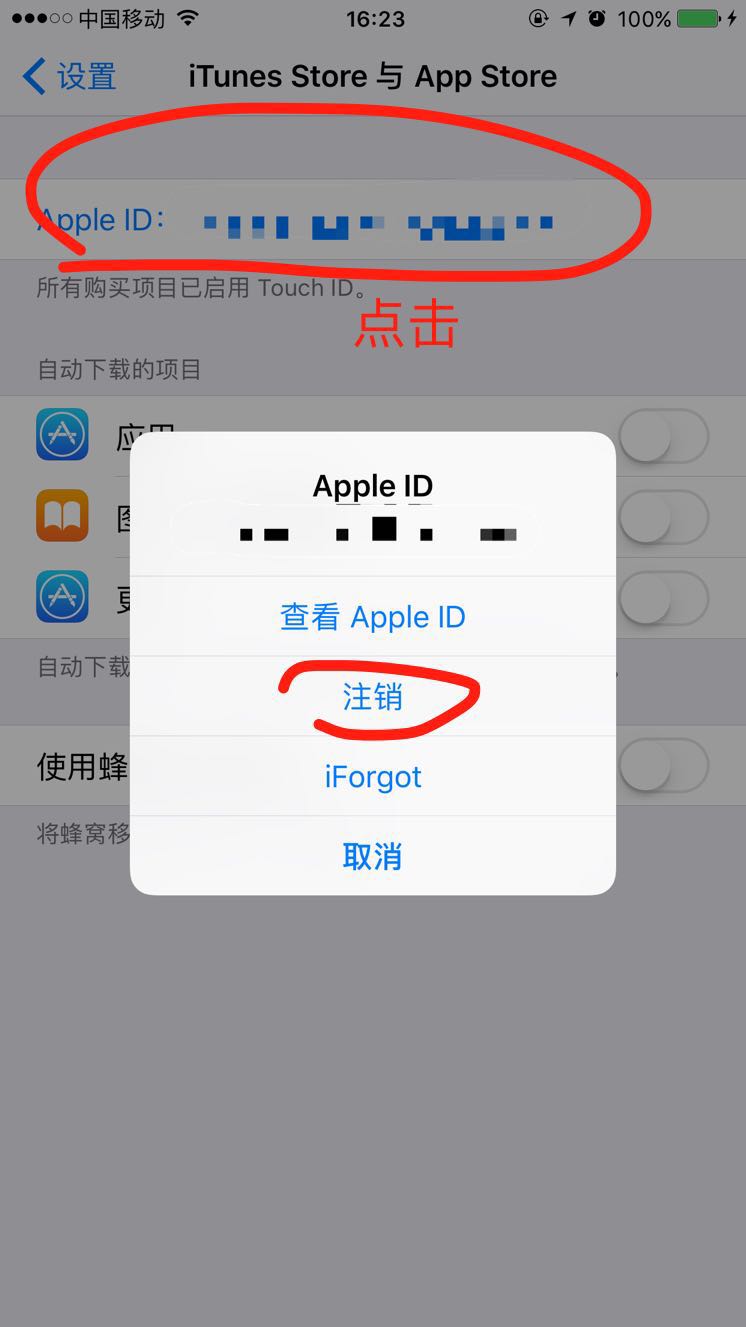 苹果怎么下载不了软件