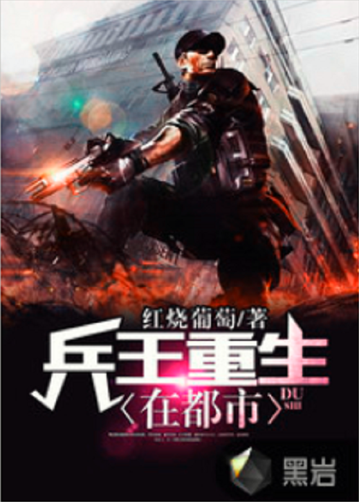 兵王洛天免费阅读(兵王洛天完整版txt)
