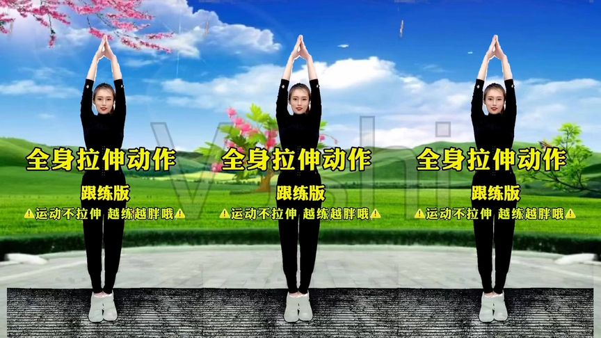 健身操视频下载-(健身操视频下载软件有哪些)