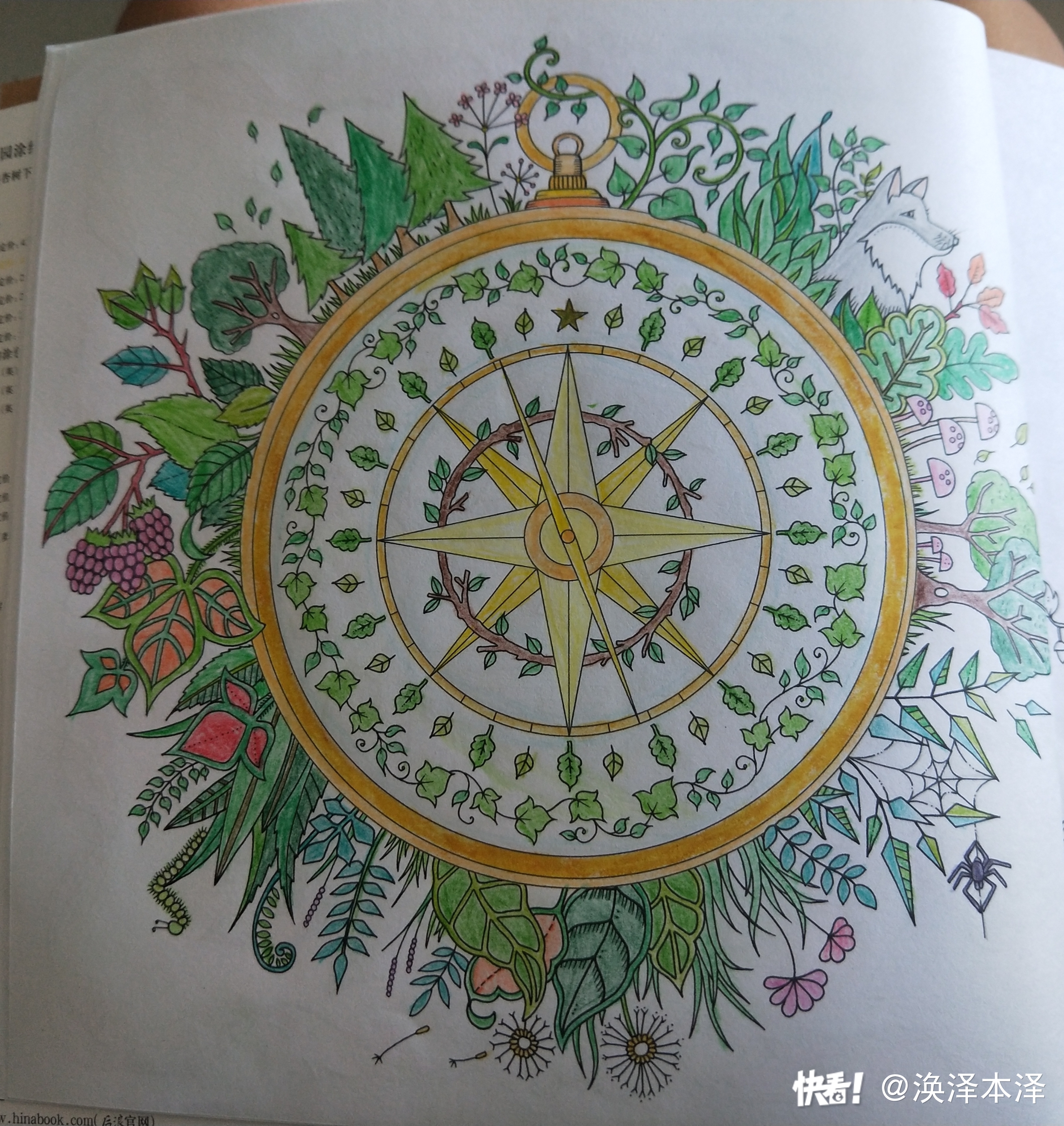 秘密花园下载地址